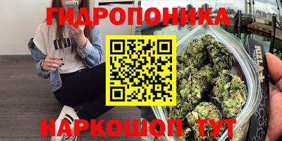 spice Аргун