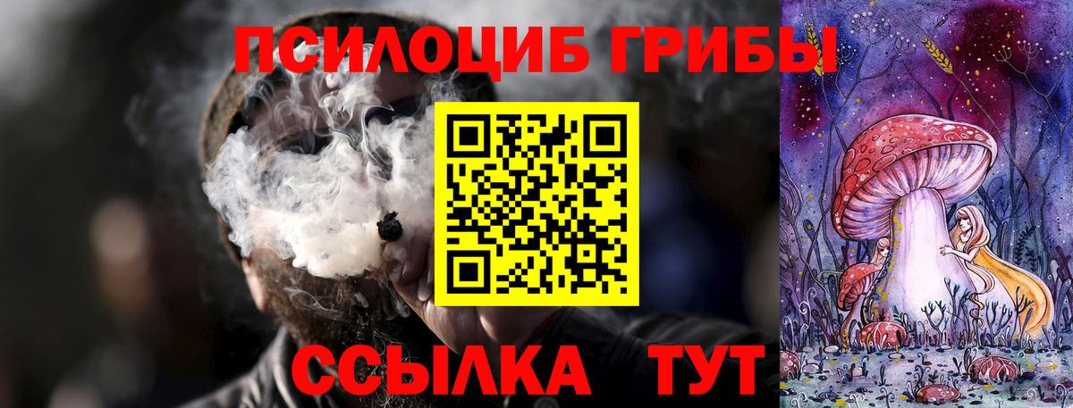 Псилоцибиновые грибы Cubensis Волжский